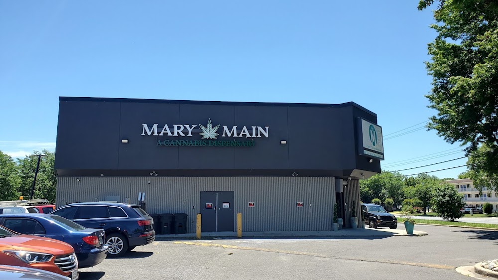 Mary & Main photo 4