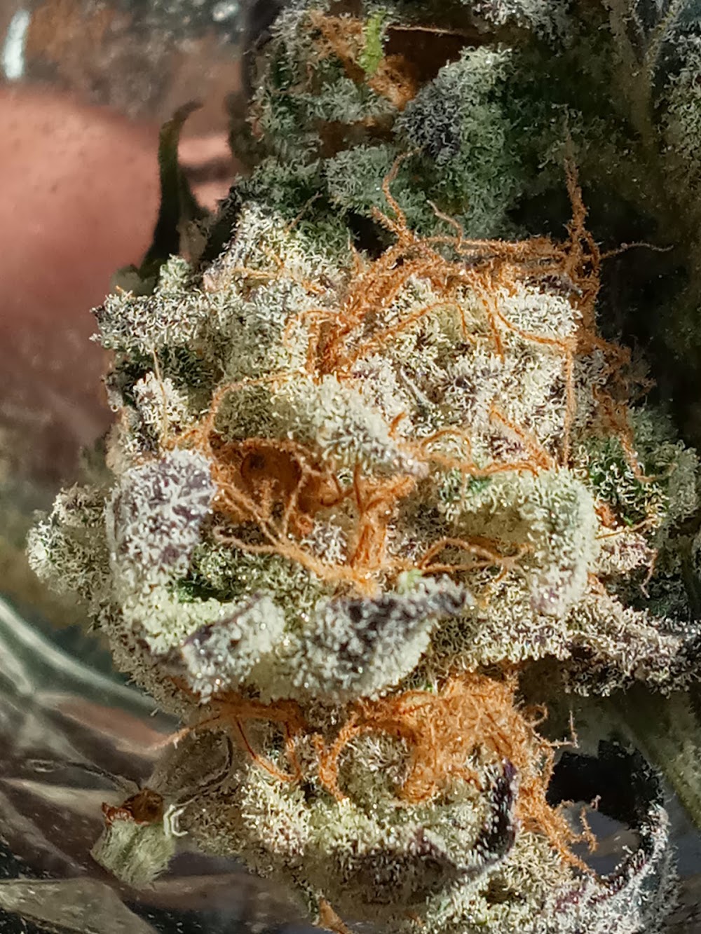 Mary Jane's photo 5