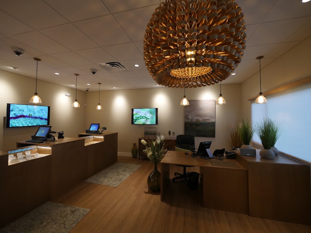 Maui Grown Therapies - Kahului photo 3