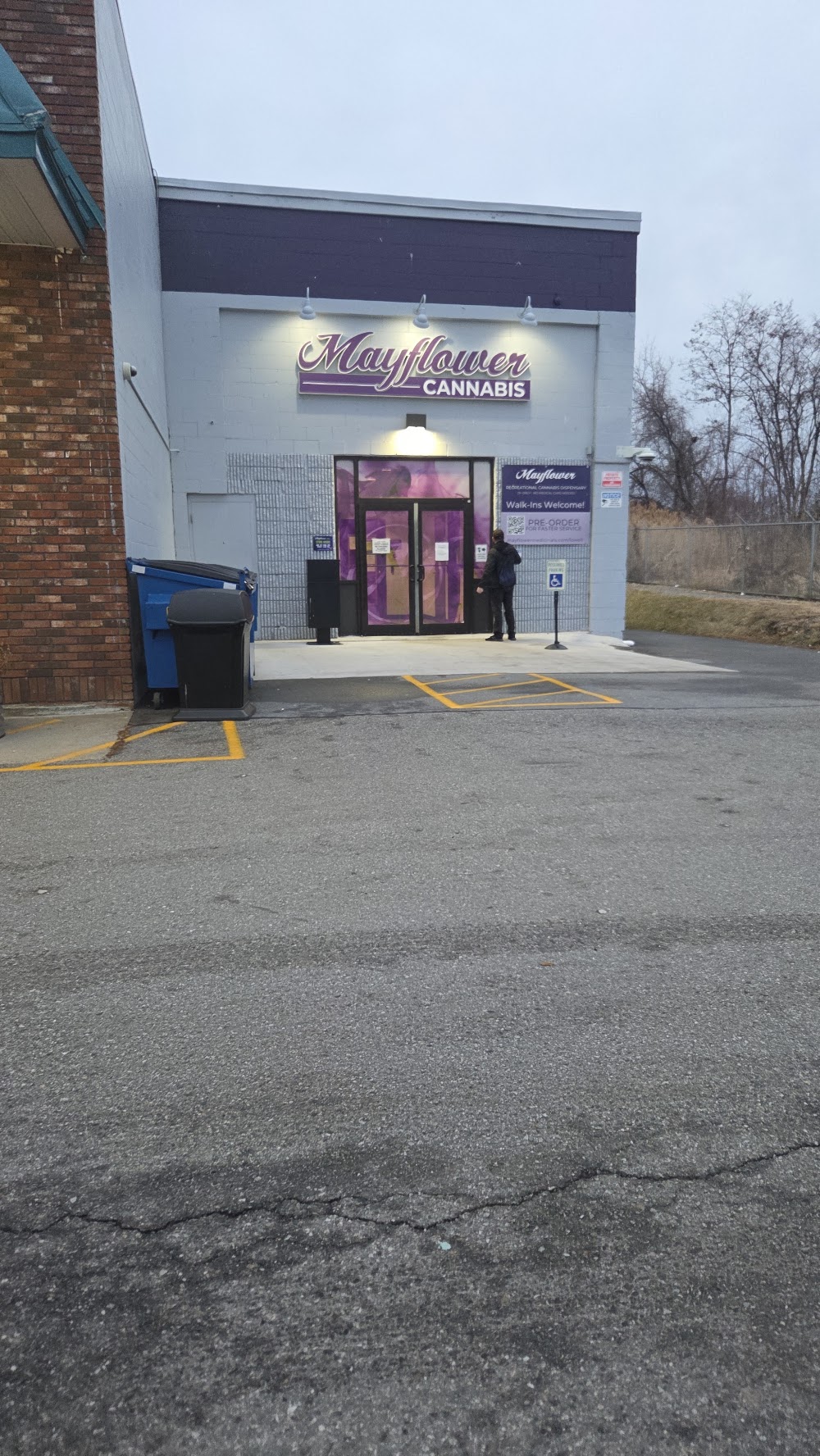 Mayflower Medicinals photo 3