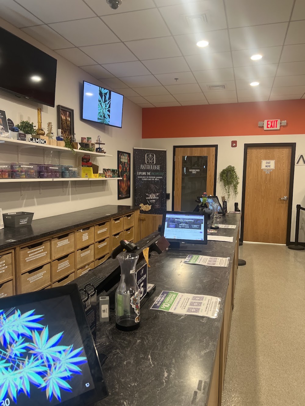 Mayflower Medicinals photo 2