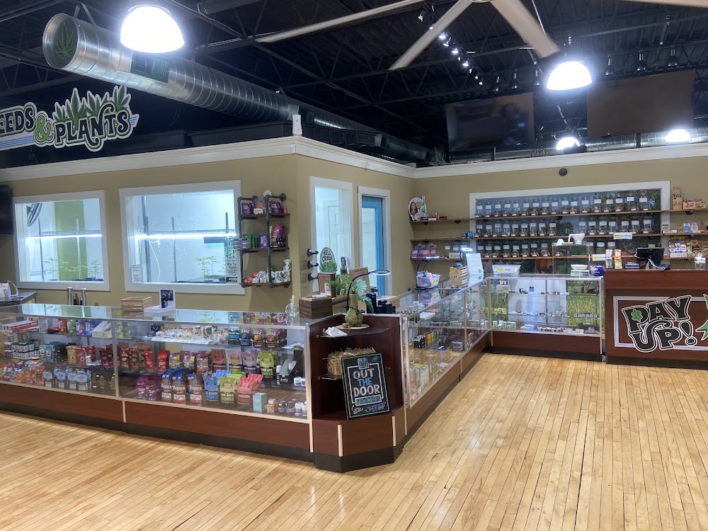 Memorial Drive Dispensary photo 2