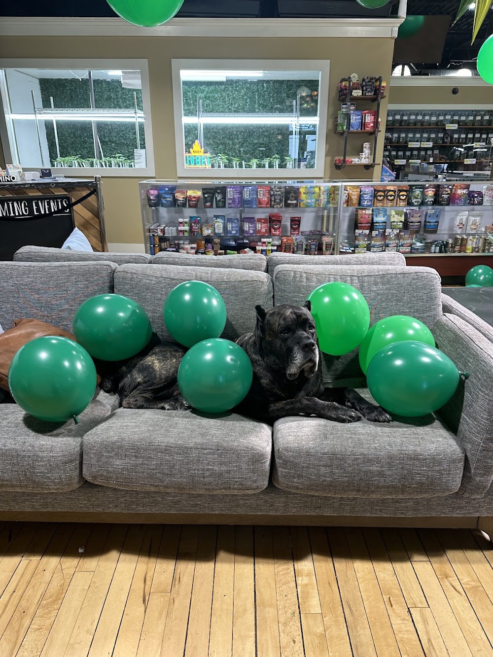 Memorial Drive Dispensary photo 7