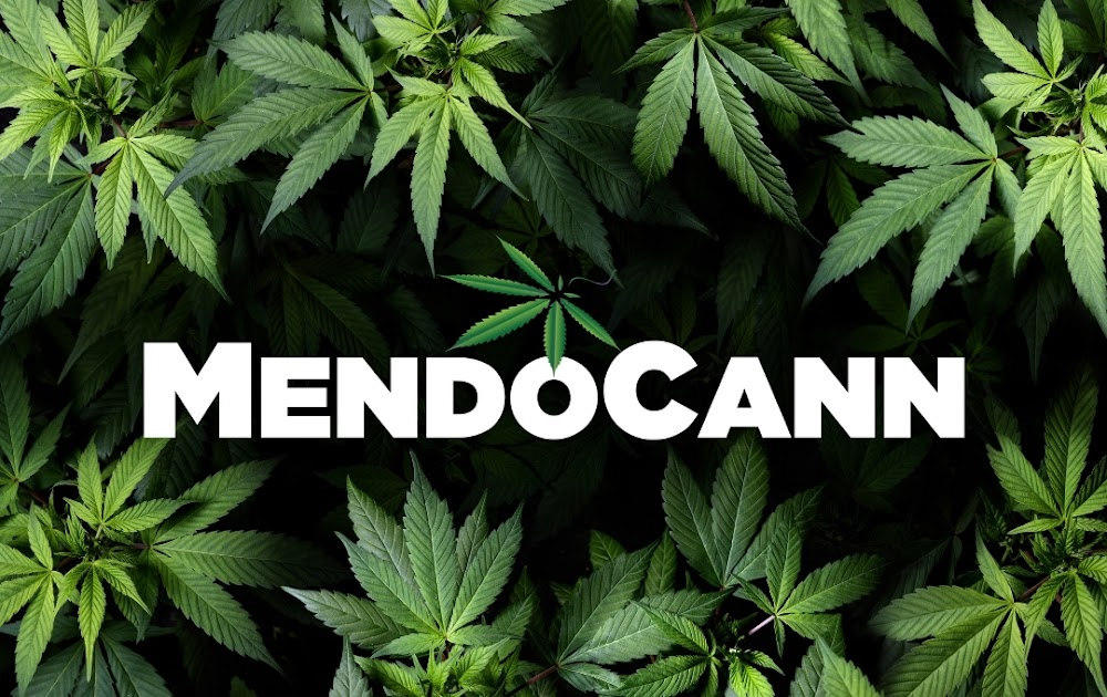 Mendocann photo 2