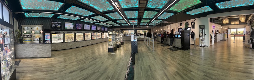 Mercy Wellness photo 3