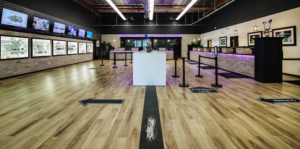 Mercy Wellness photo 5