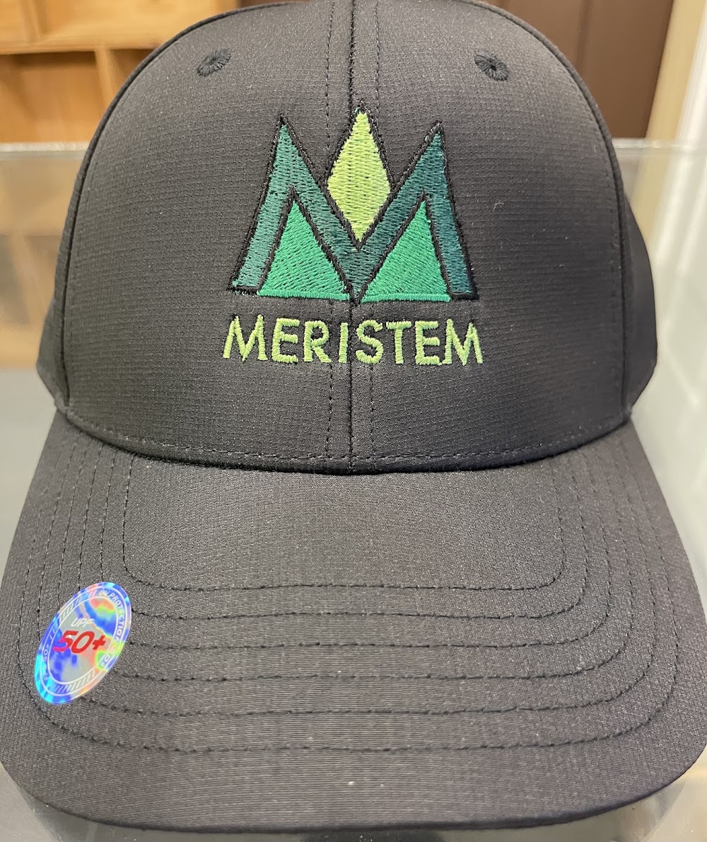 Meristem photo 8
