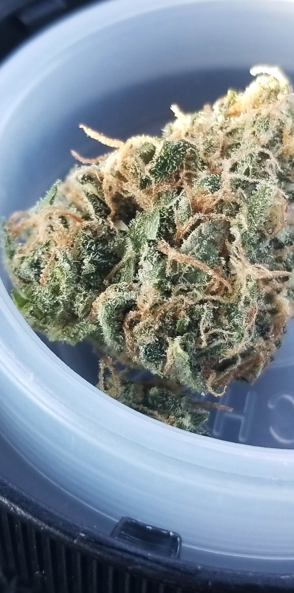 Midwest Dispensary photo 4