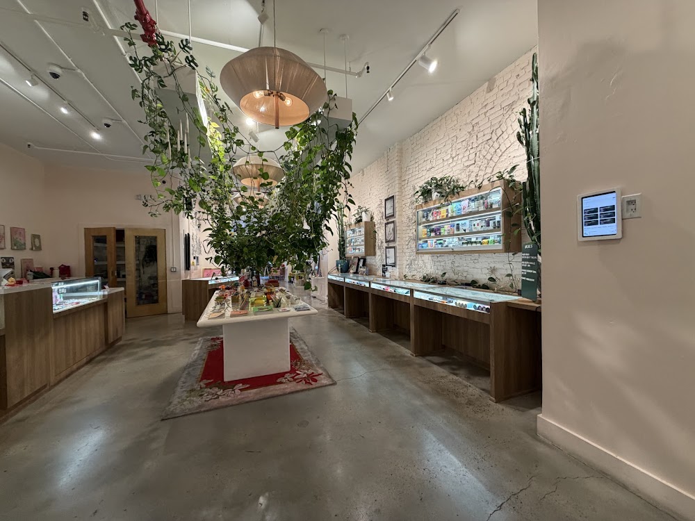 Mighty Lucky photo 2