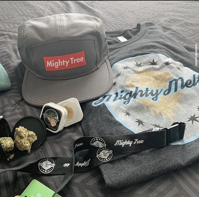 Mighty Tree photo 8