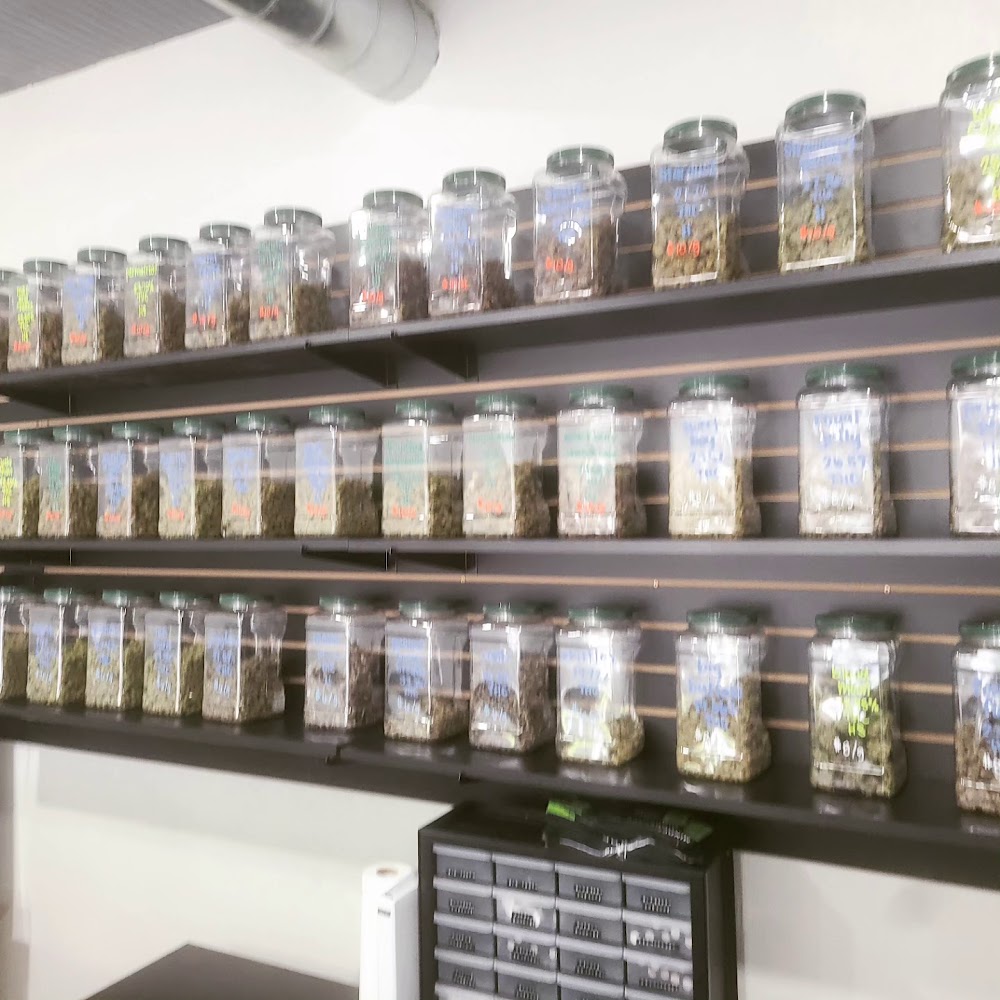 Mindscape Dispensary photo 6