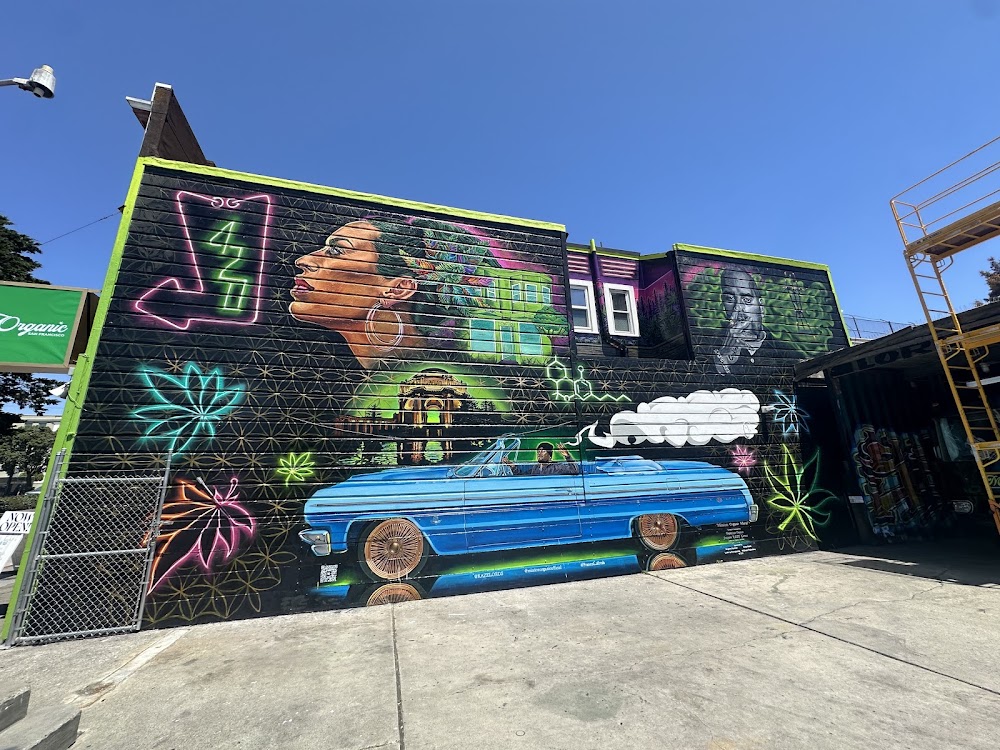 Mission Organic On Geary photo 3
