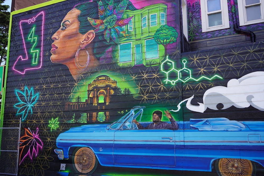 Mission Organic On Geary photo 6