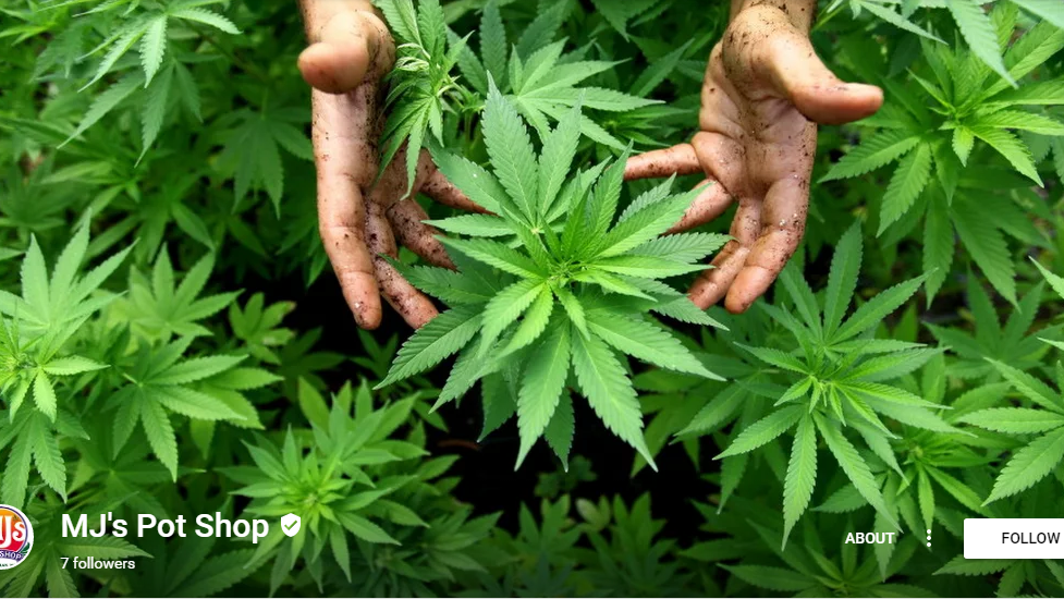Mj's Pot Shop photo 2