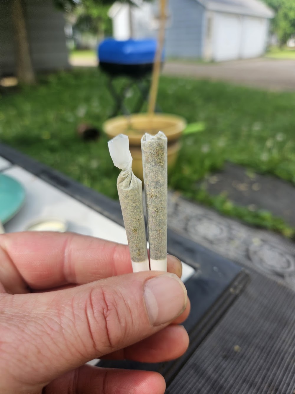 Mn Roots Alexandria Dispensary photo 2