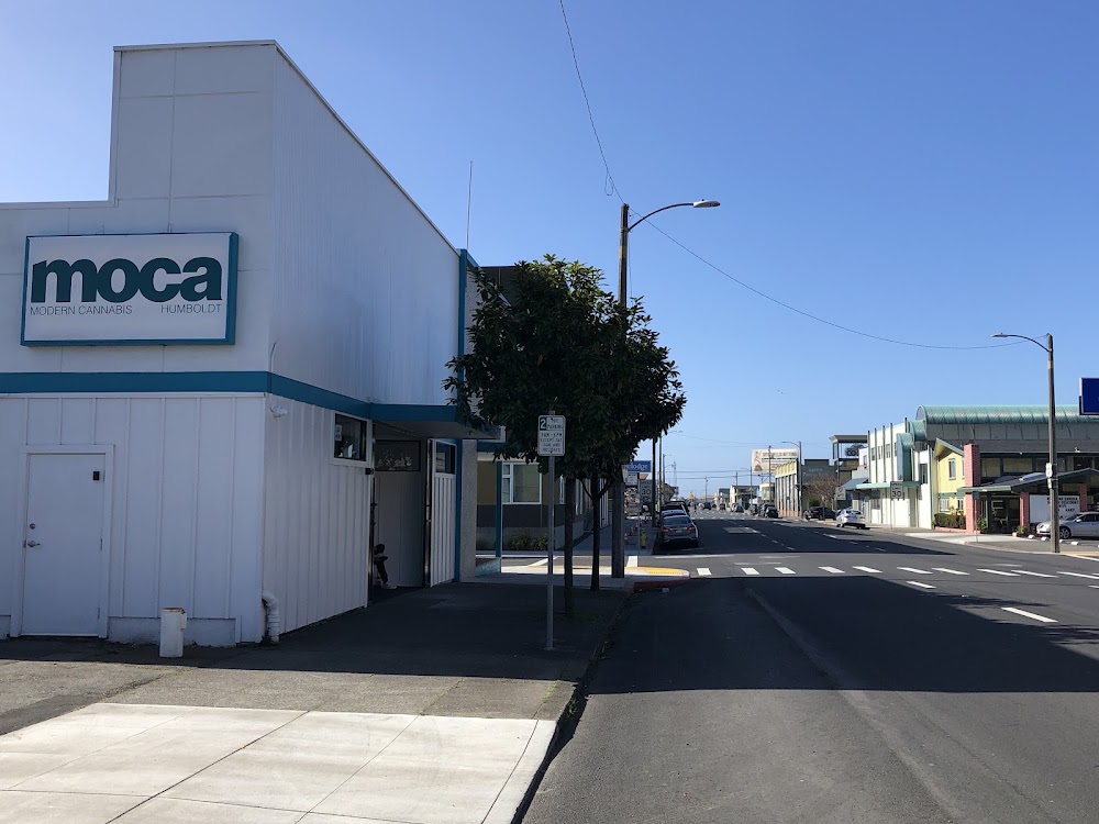Moca Humboldt photo 7