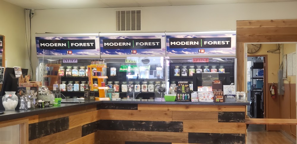 Modern Forest photo 3