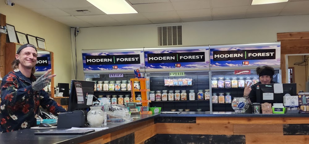 Modern Forest photo 4
