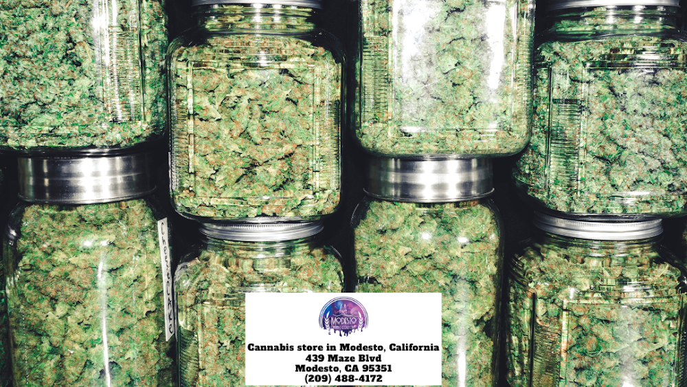 Modesto Cannabis Collective photo 2