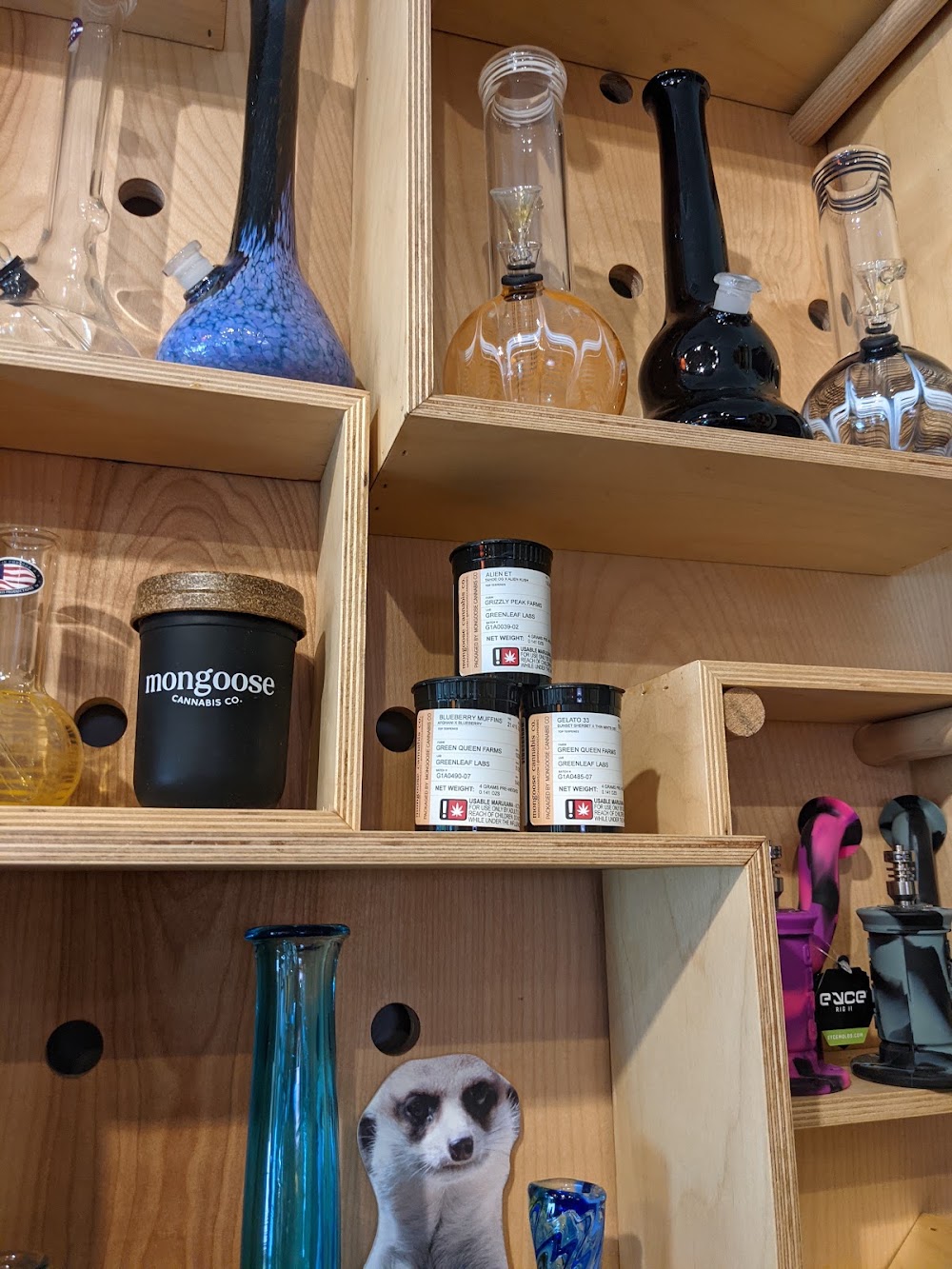 Mongoose Cannabis photo 3