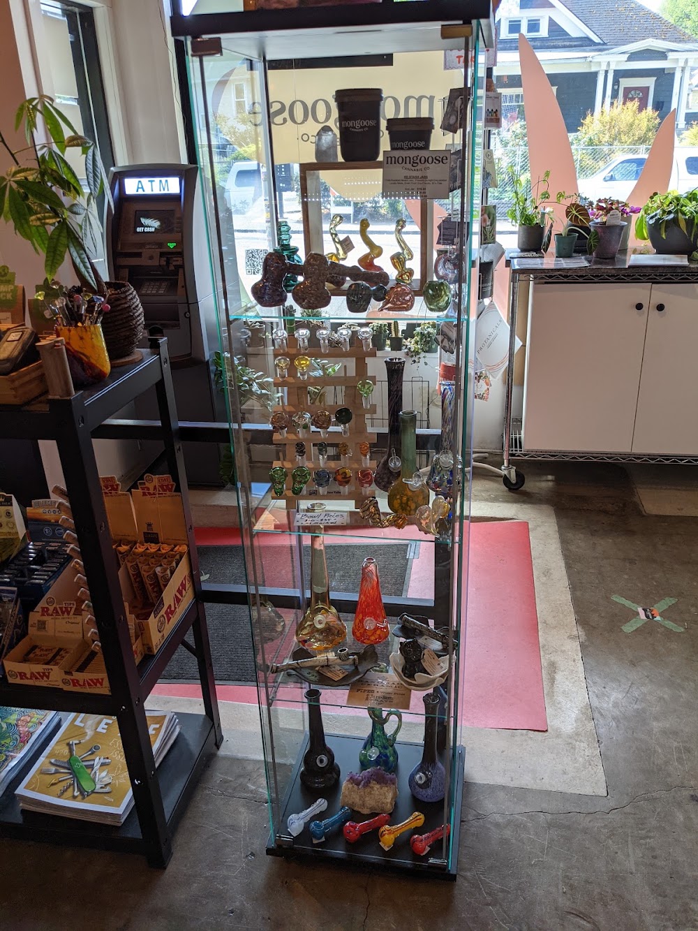 Mongoose Cannabis photo 6