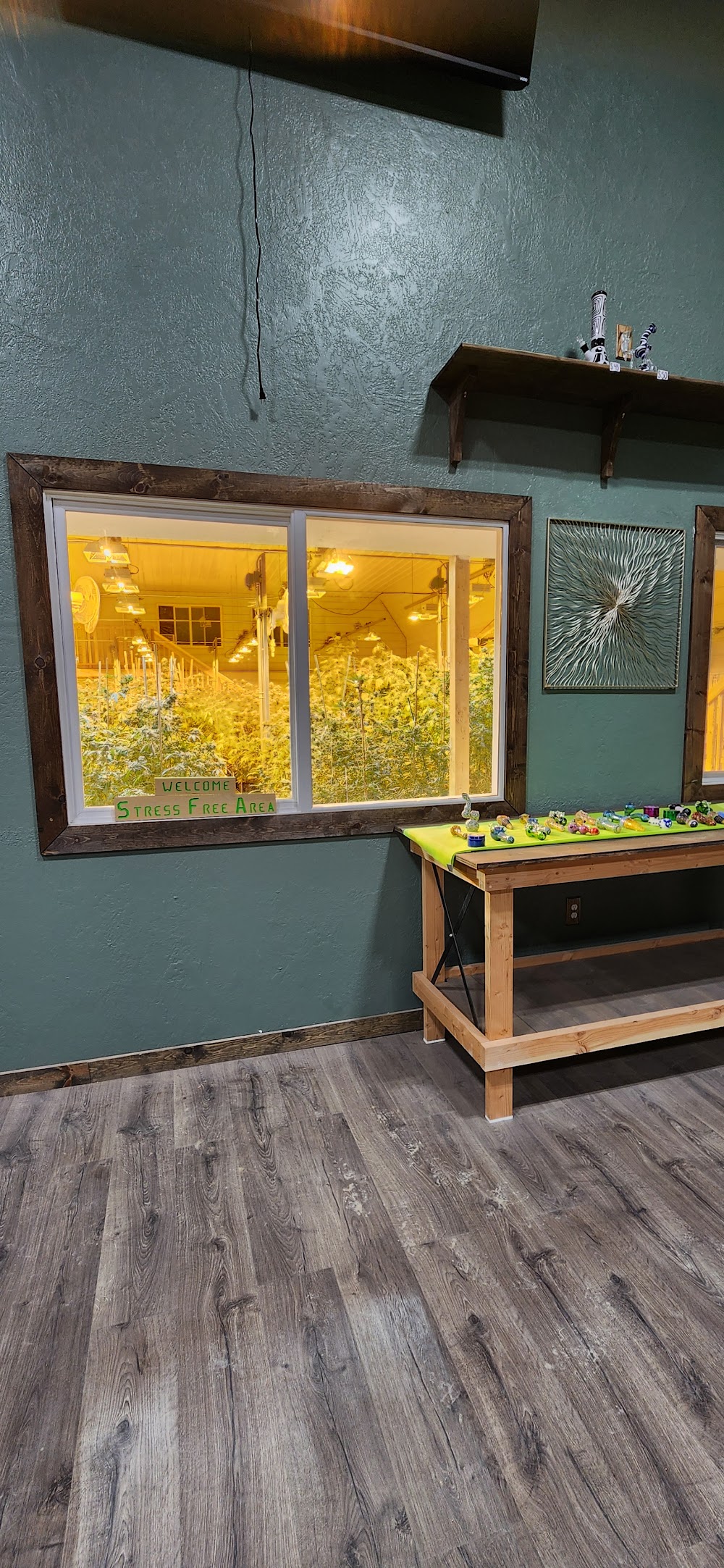 Montana Dispensary photo 2