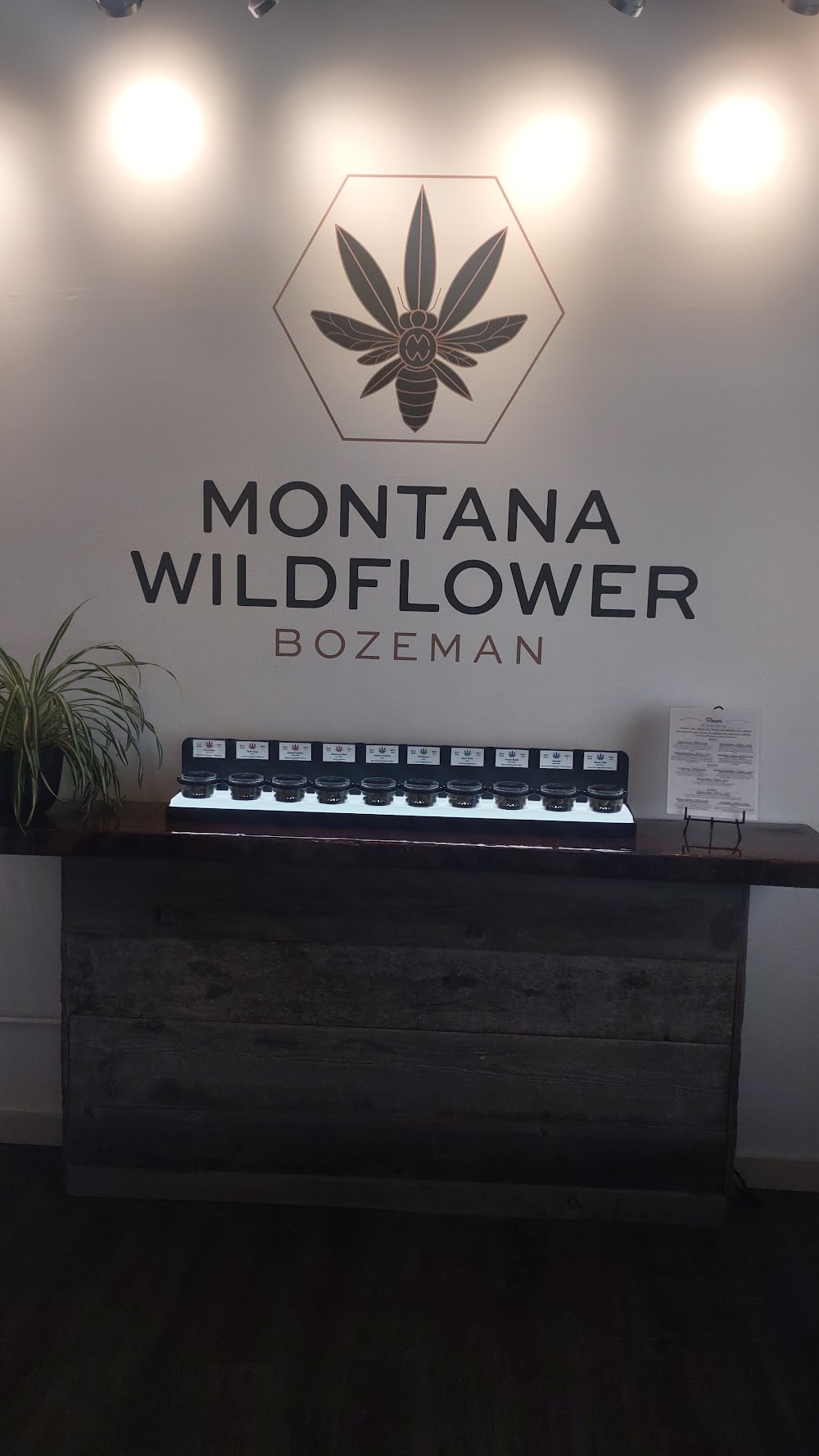 Montana Wildflower photo 5