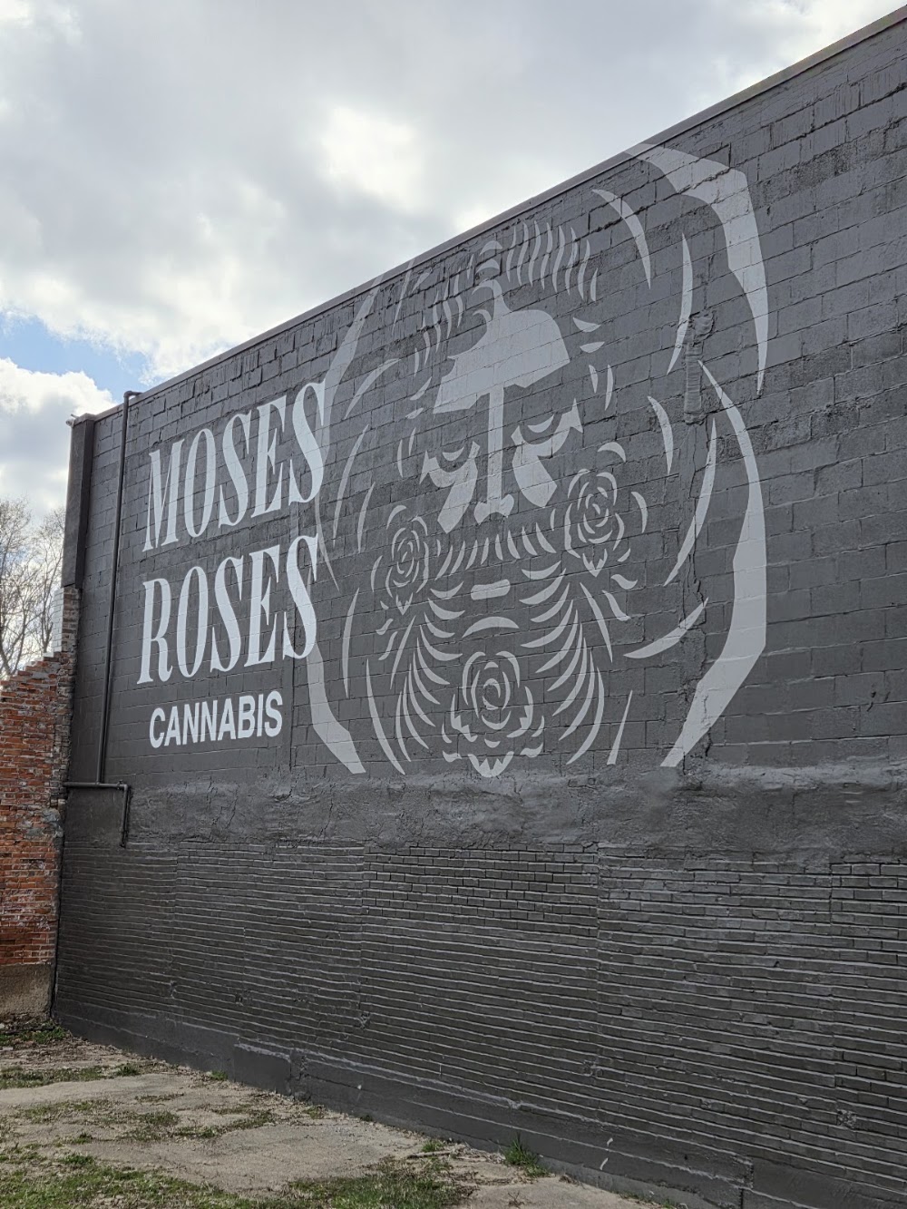 Moses Roses Chesaning photo 1