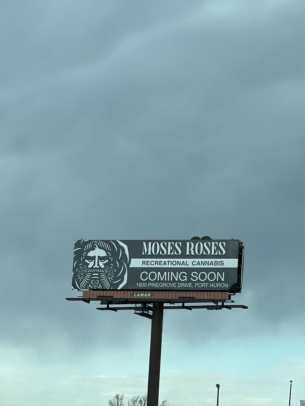 Moses Roses Port Huron photo 7