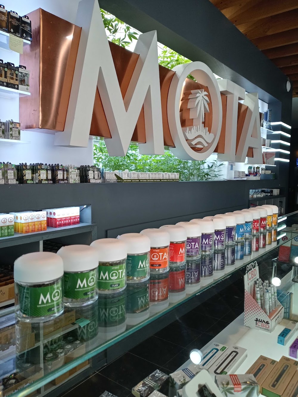 Mota photo 2