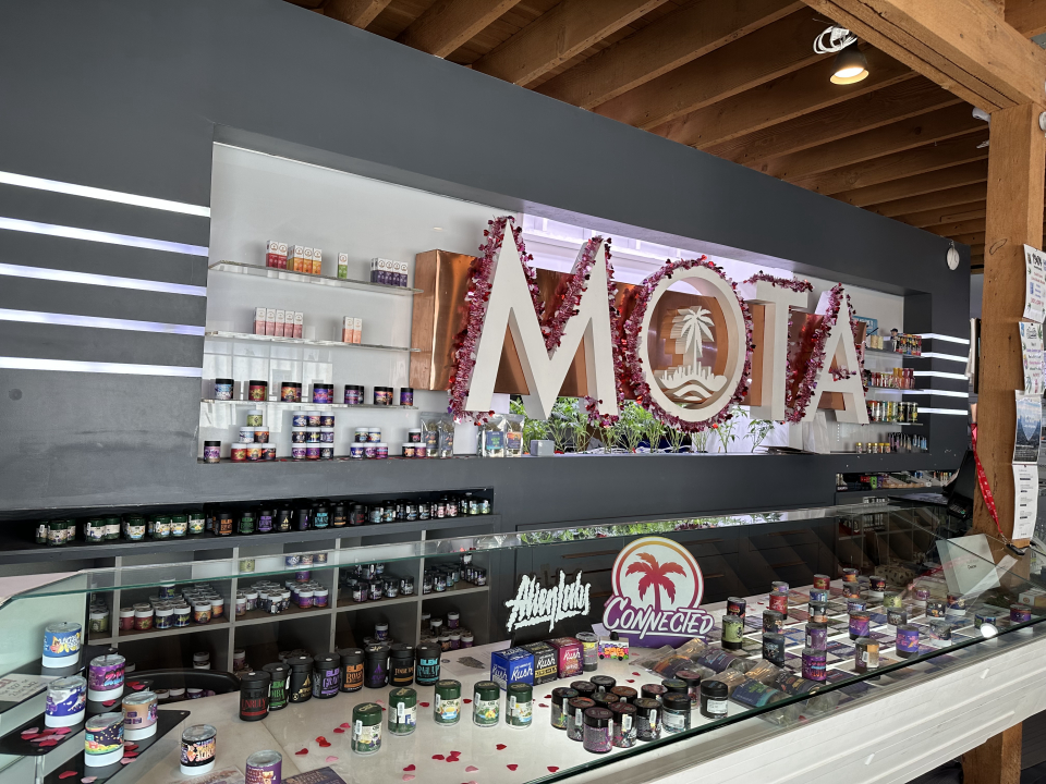 Mota photo 5