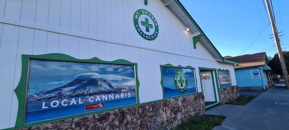 Mount Shasta Patients Collective photo 3