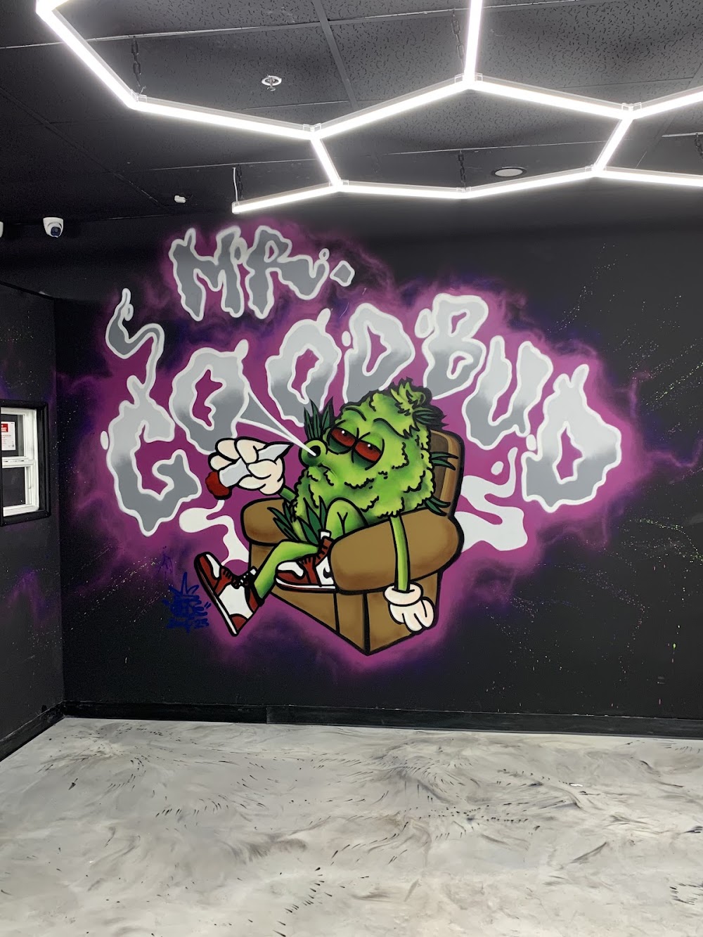 Mr Goodbud photo 3
