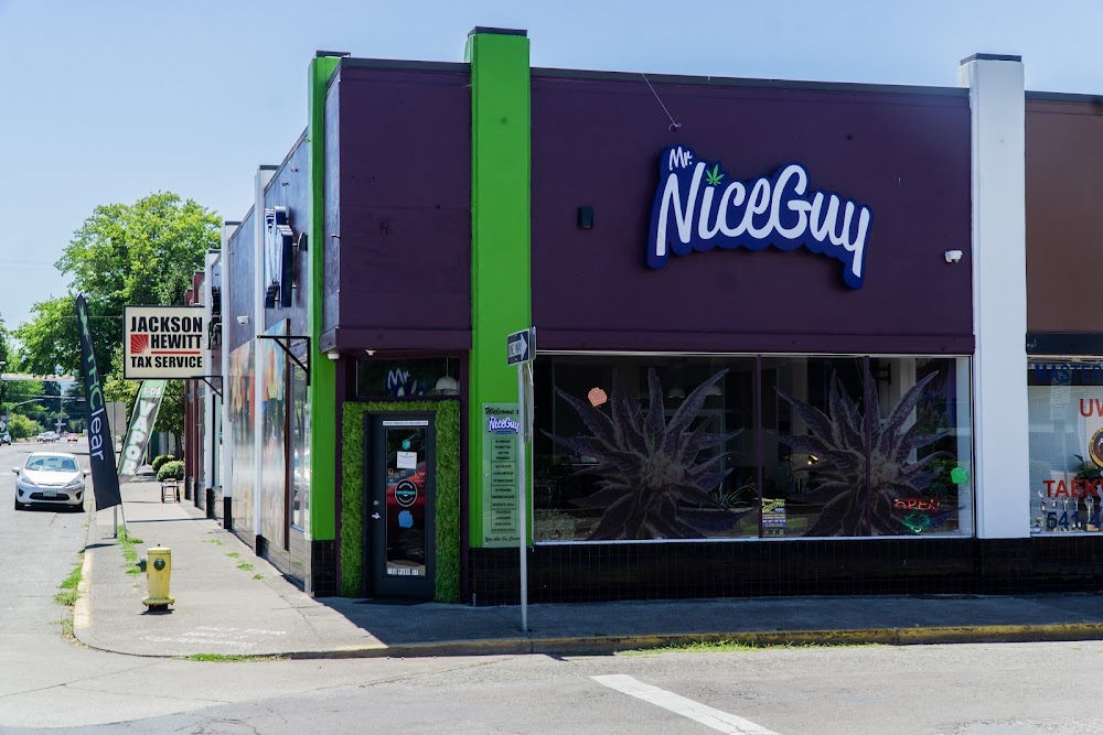 Mr. Nice Guy Lebanon photo 4
