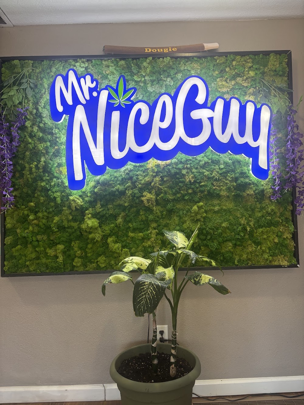 Mr. Nice Guy Portland photo 4