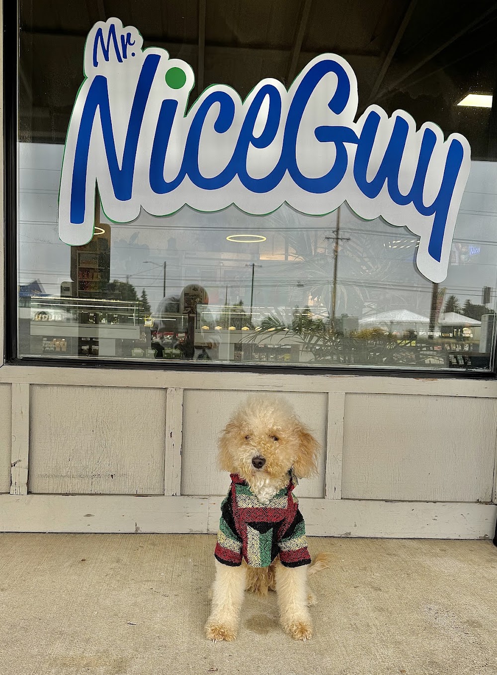 Mr. Nice Guy Retail photo 4