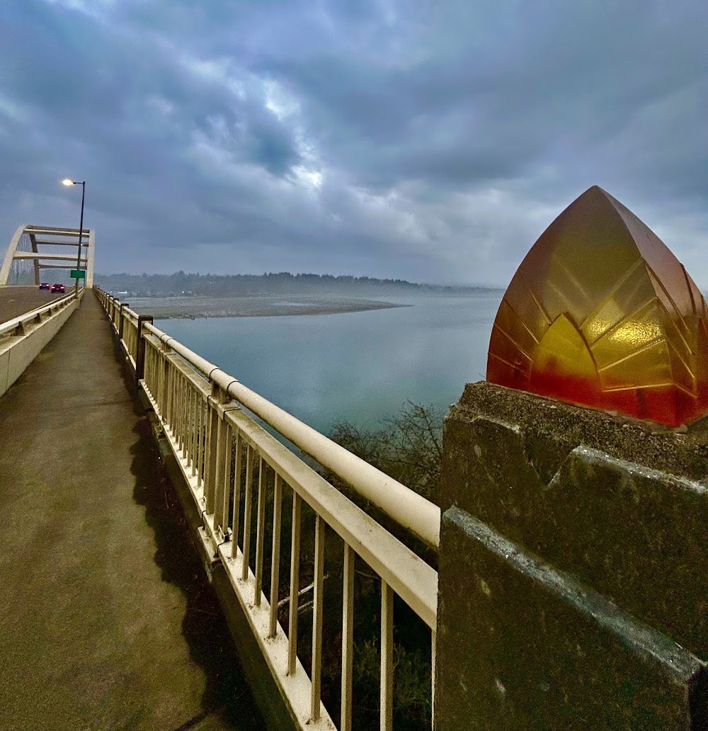 Mr. Nice Guy Waldport photo 4