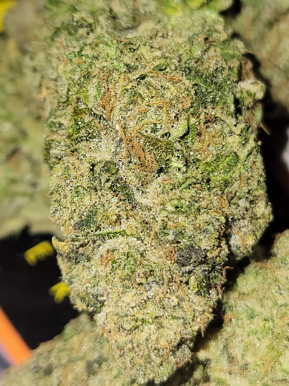 Mt Dank Tank photo 5