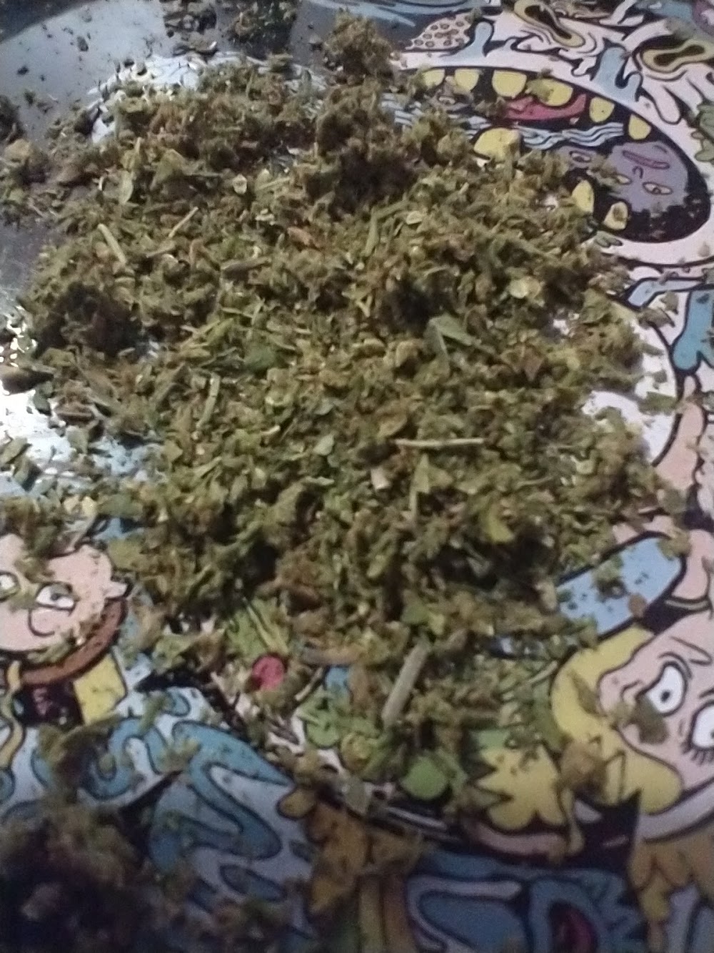 Mt Dank Tank photo 6