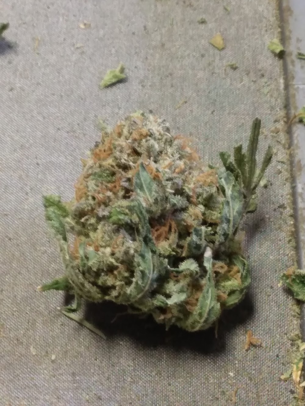 Mt Dank Tank photo 8
