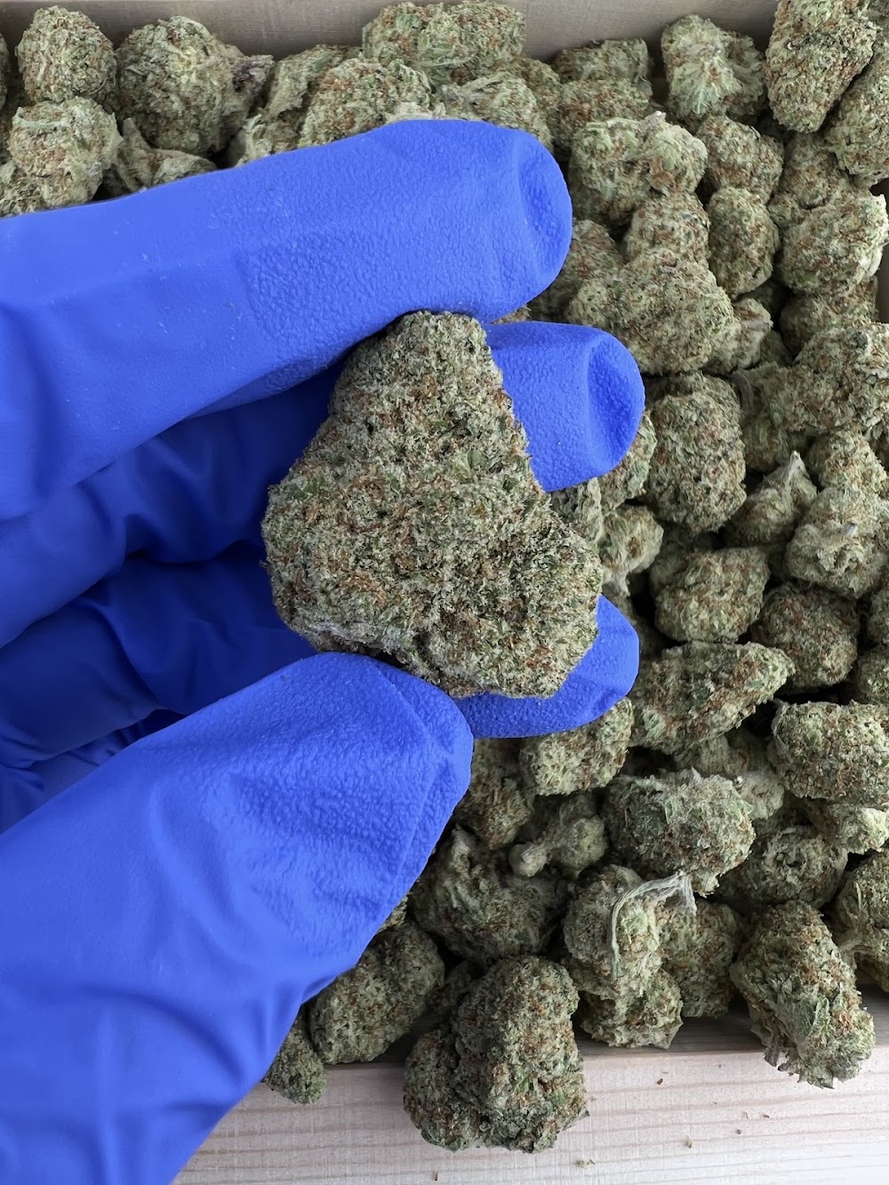 Munchiez Cannabis Alamogordo photo 7