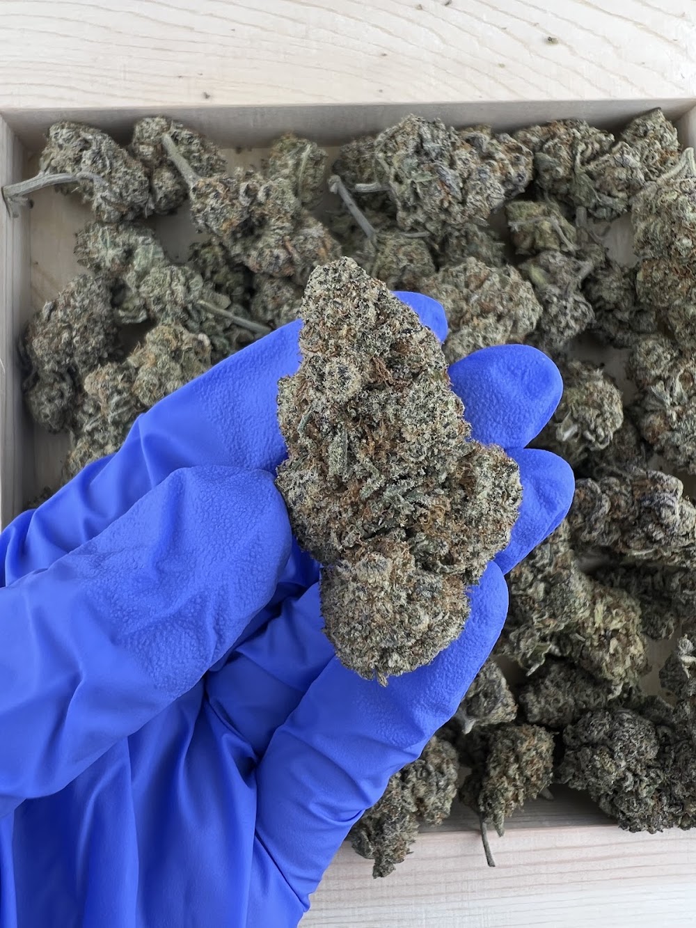 Munchiez Cannabis Ruidoso photo 3