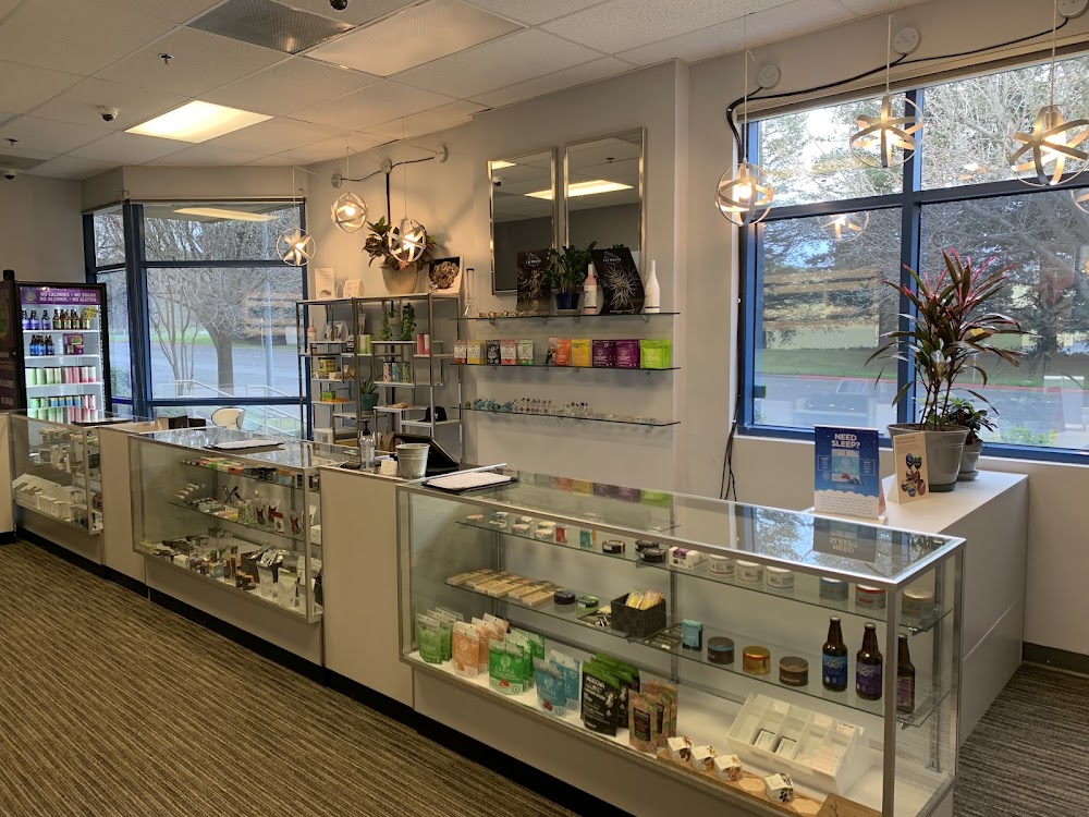 Napa Cannabis Collective photo 2