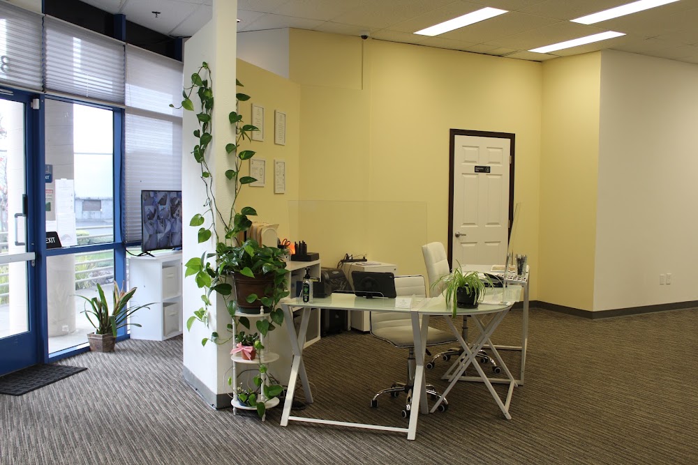 Napa Cannabis Collective photo 6