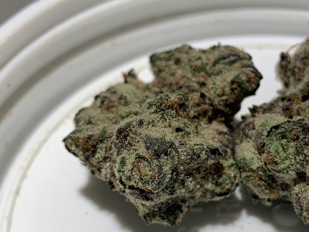 Native Medicine photo 3
