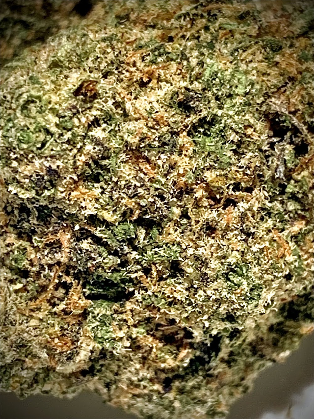 Native Medicine photo 6