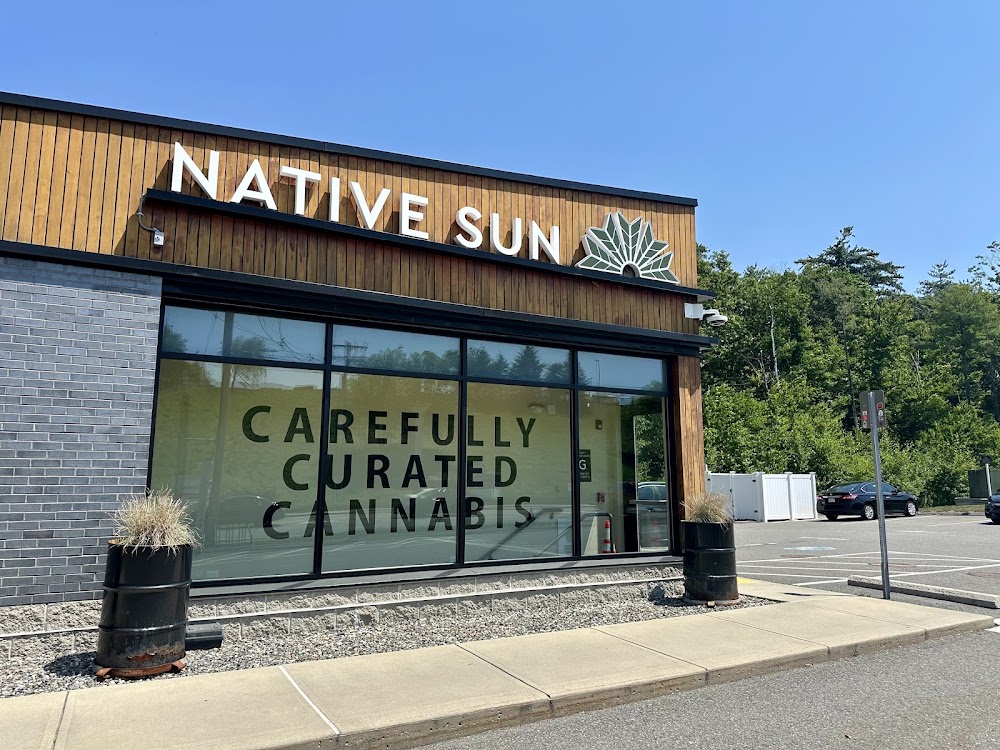 Native Sun Wellness photo 1