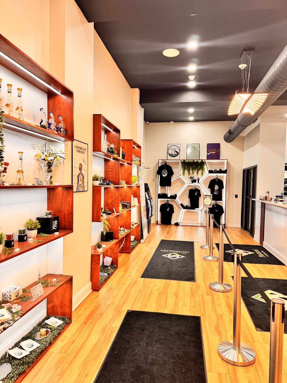 Natural Apothecary photo 2