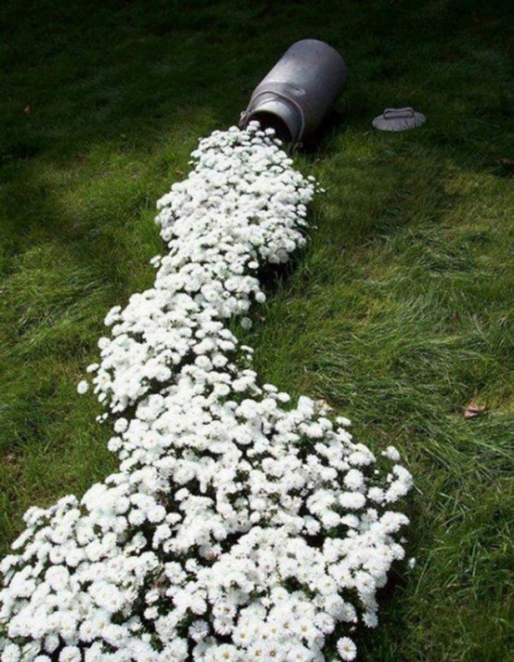 Nature’S Treatment photo 2