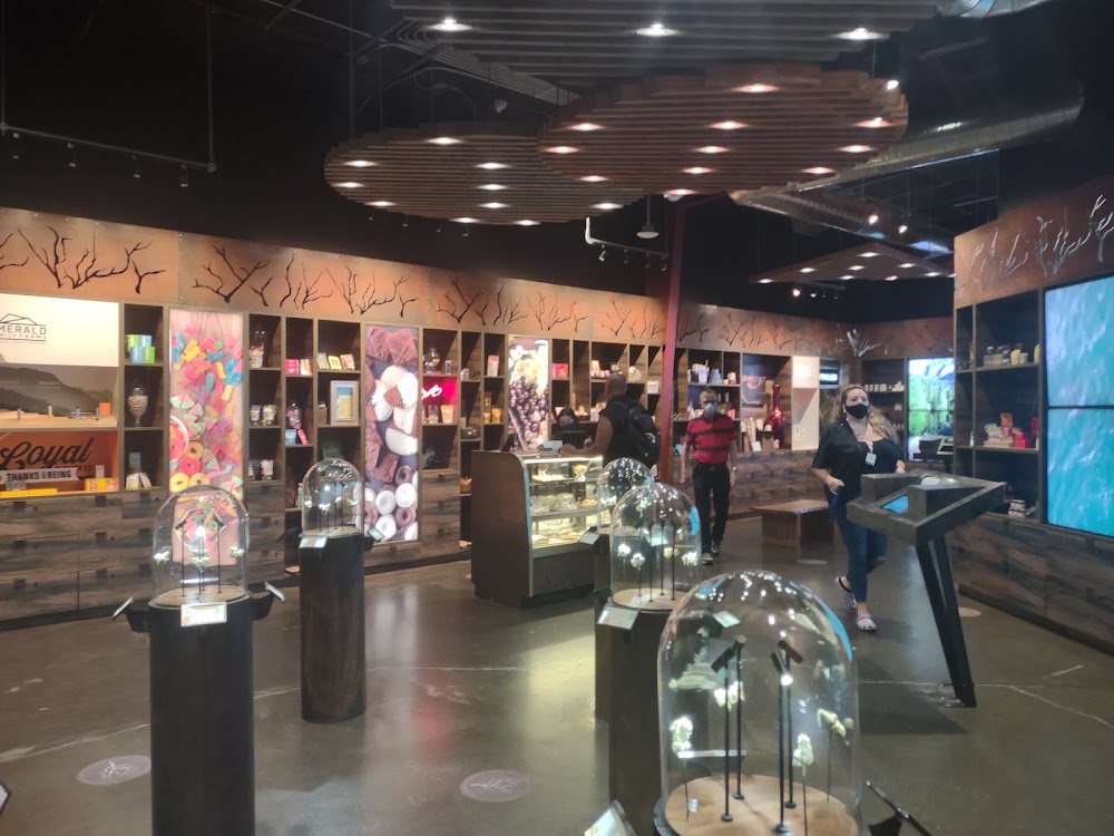 Nectar Markets photo 5